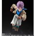 In Stock BANDAI SHF TRUNKS GT Action Figure Toy Model